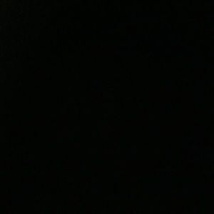 Meet your Posher, Tamara